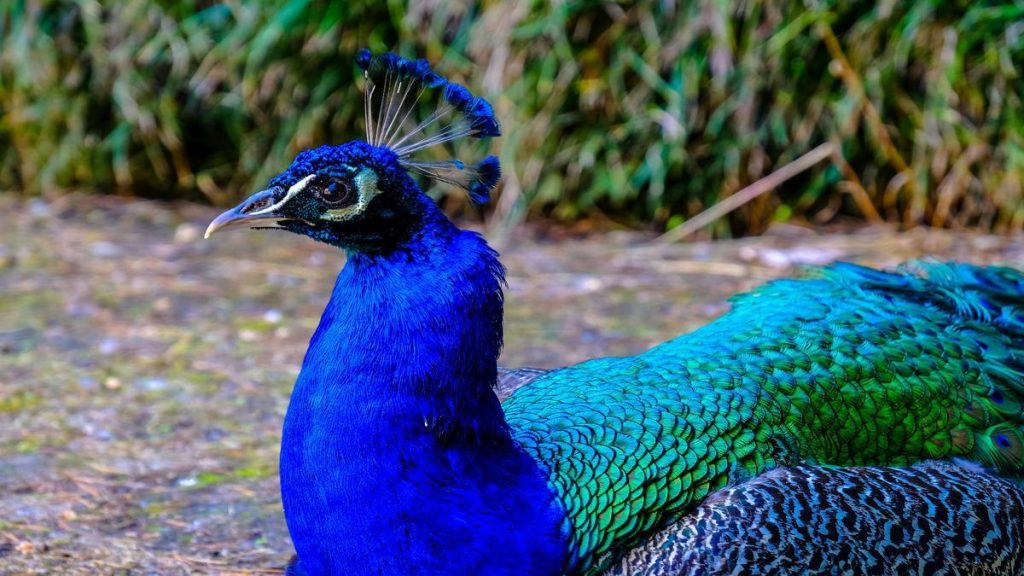 Mitos e Verdades sobre Câncer de Cabeça e Pescoço